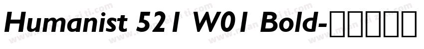 Humanist 521 W01 Bold字体转换